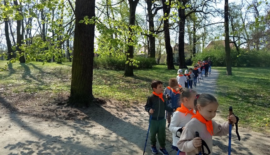 Nordic Walking w parku